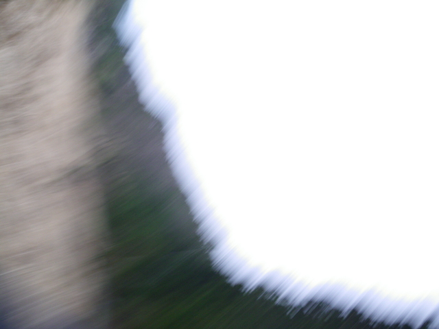 a0116205_14273513.jpg