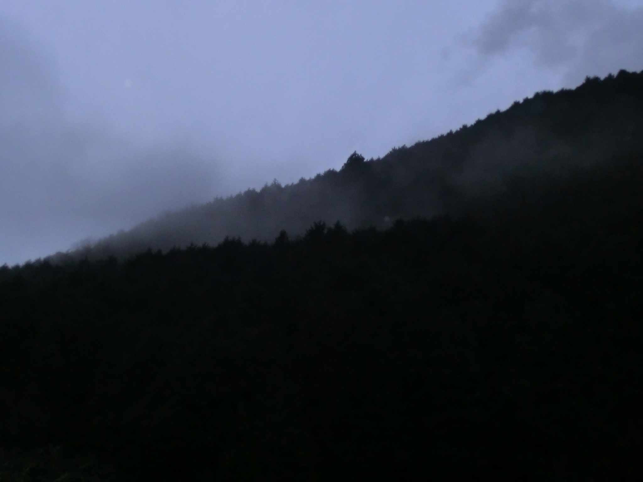 b0239909_22511957.jpg