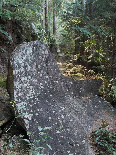 d0154609_14294396.jpg