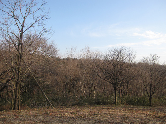e0244621_2312841.jpg