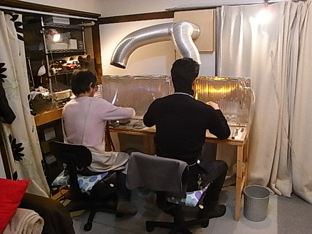 e0130722_10385555.jpg