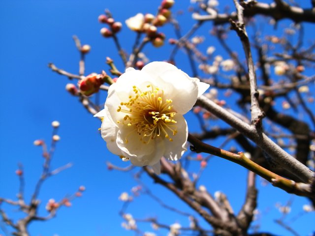 f0209122_10511349.jpg