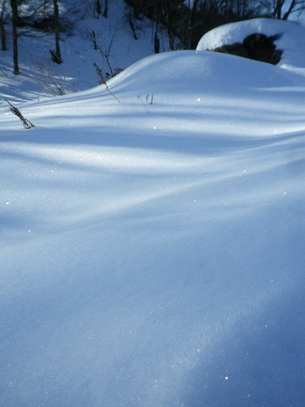 f0188324_21243320.jpg