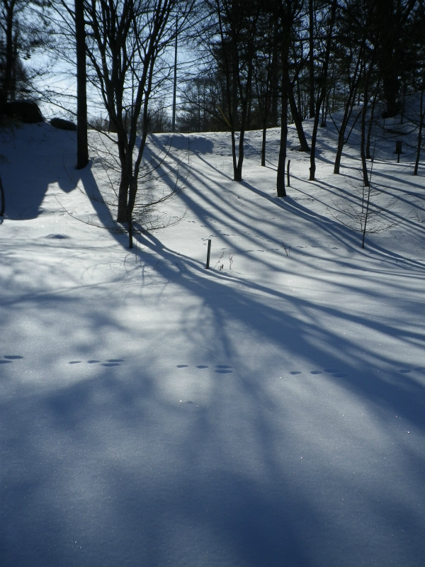 f0188324_2125817.jpg