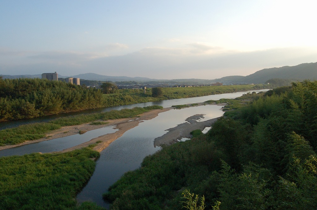b0162728_17423863.jpg
