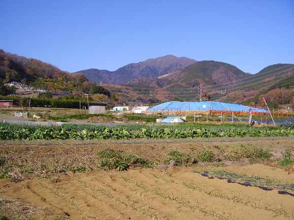 e0210728_10322520.jpg