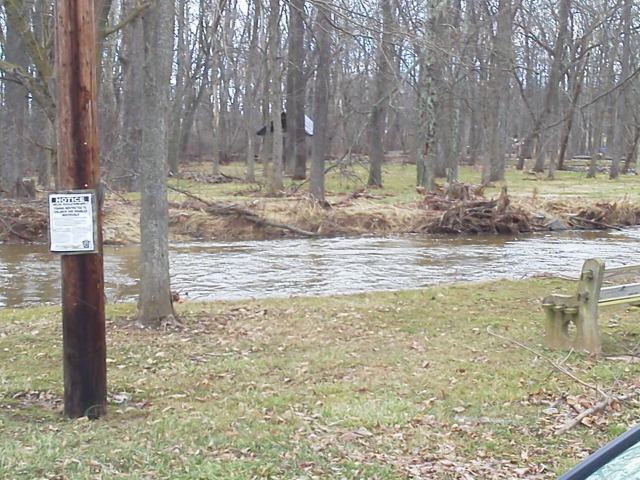 c0089132_1358194.jpg