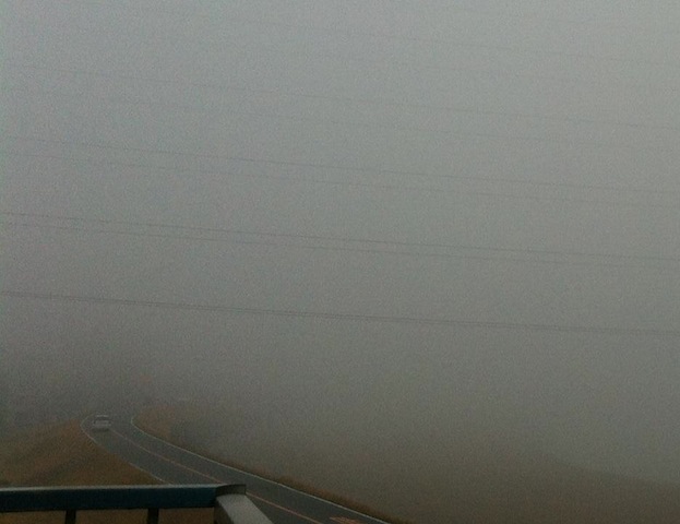 b0072234_985792.jpg