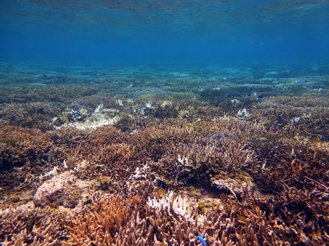 f0014842_1723169.jpg