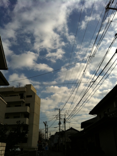 f0179947_26413.jpg