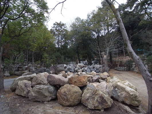 e0126548_959392.jpg