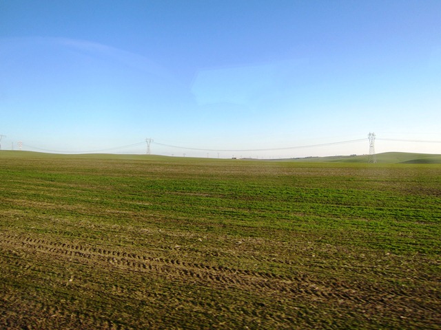 b0289649_18375185.jpg