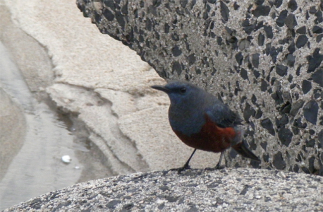 f0214649_17145835.jpg