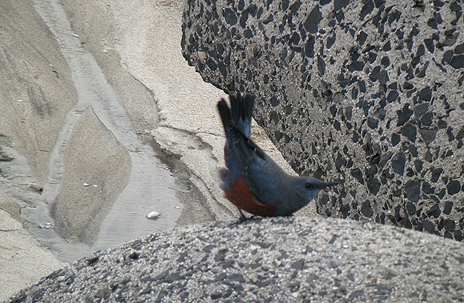 f0214649_17152555.jpg