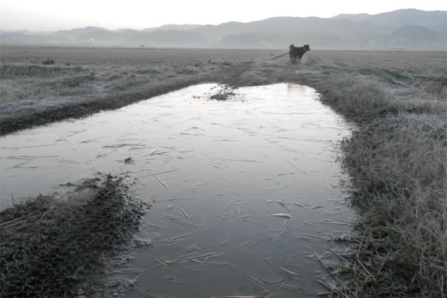 f0214649_1732392.jpg