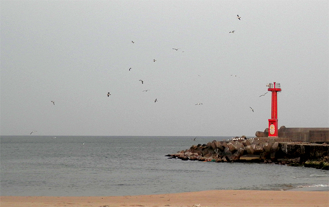 f0214649_1771083.jpg