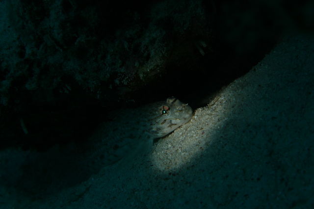 e0314451_15593880.jpg