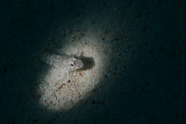e0314451_15594584.jpg