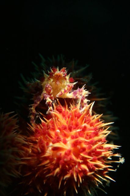 e0314451_15595129.jpg