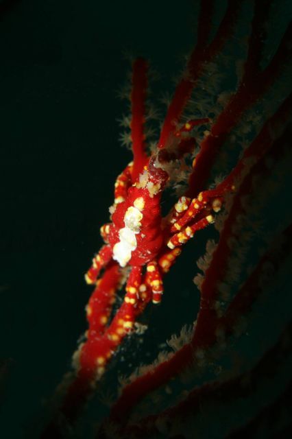 e0314451_1603524.jpg