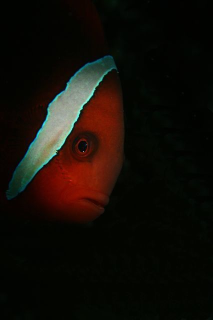 e0314451_1615848.jpg