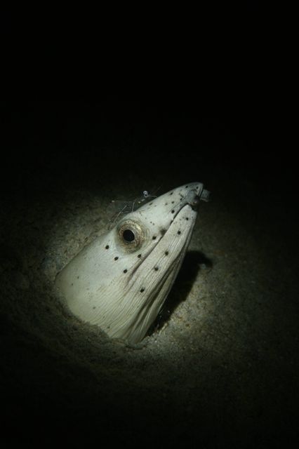 e0314451_1623820.jpg