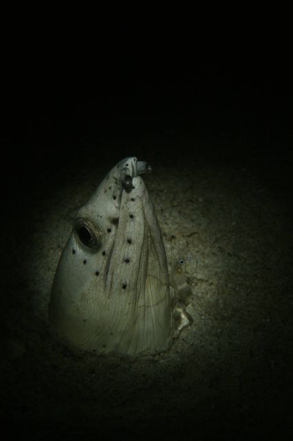 e0314451_1624731.jpg