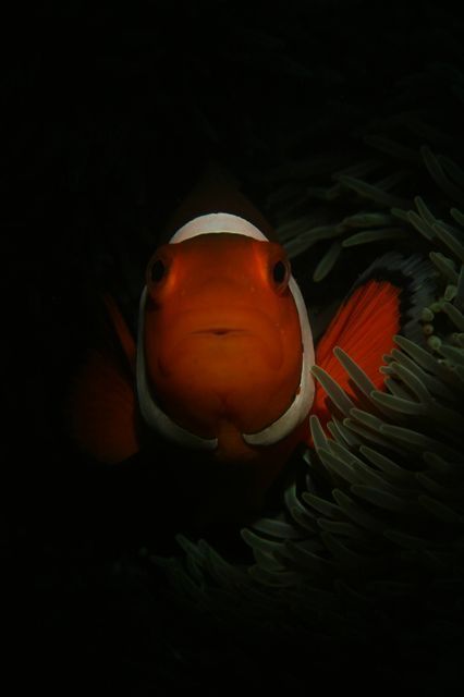 e0314451_1635523.jpg