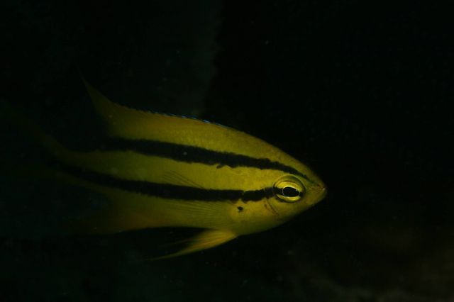 e0314451_164368.jpg