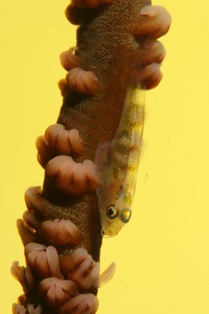 e0314451_16441390.jpg
