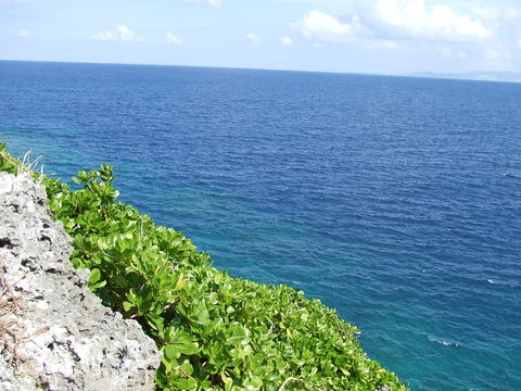 b0286966_13515515.jpg
