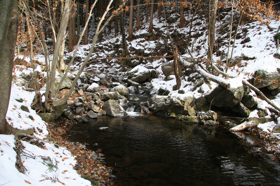 e0118274_21412993.jpg