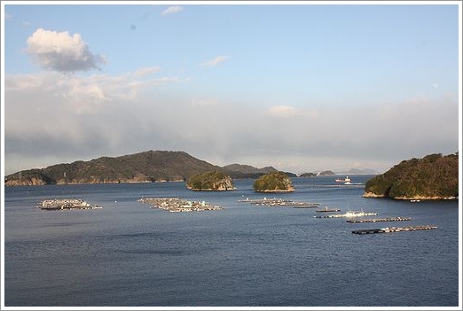 b0111376_11172035.jpg
