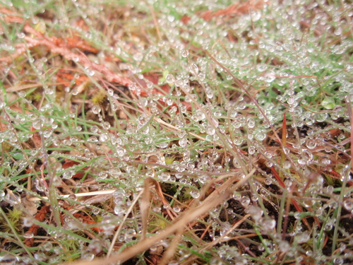 f0223480_21121278.jpg
