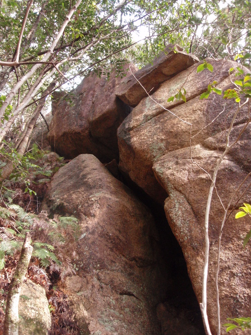 f0223480_21124788.jpg