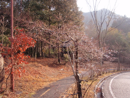 f0223480_2112736.jpg