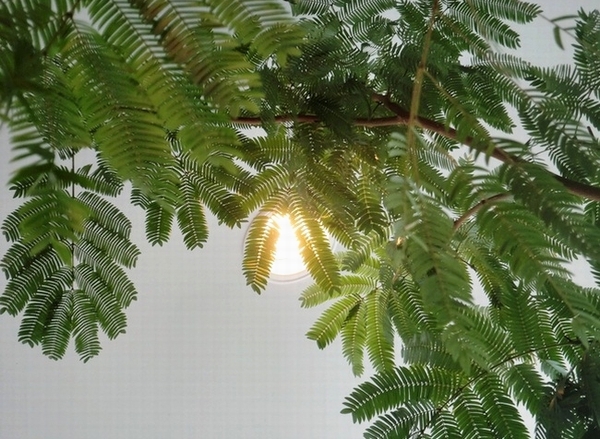 e0143690_1936928.jpg