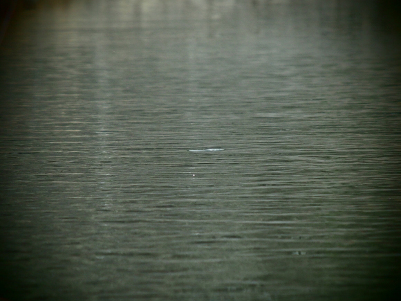 f0213796_10522895.jpg