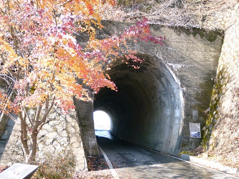 a0140305_215817.jpg