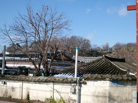 a0140305_24328.jpg