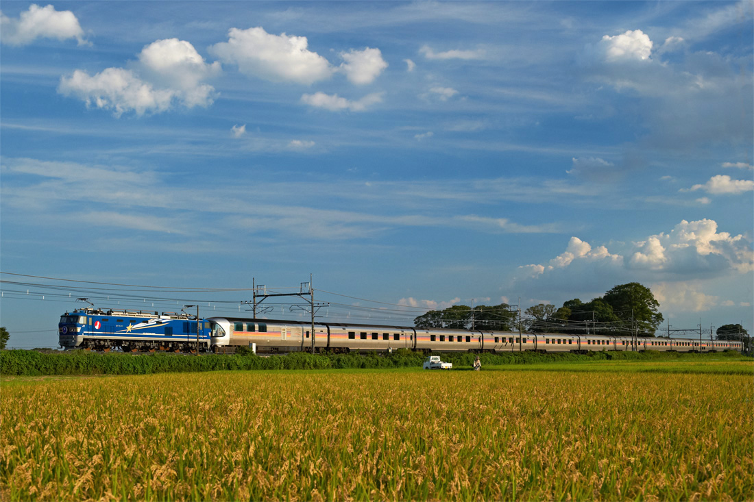 b0221605_20153569.jpg