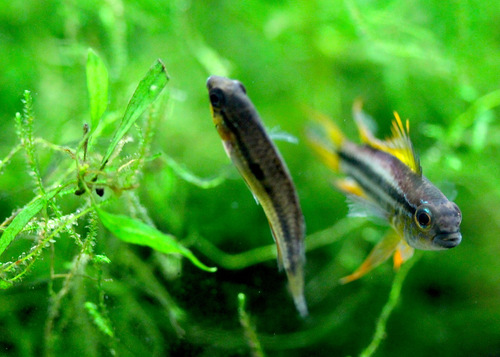 a0241913_273823.jpg
