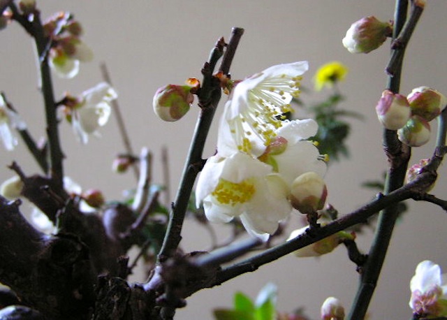 c0248013_2112263.jpg
