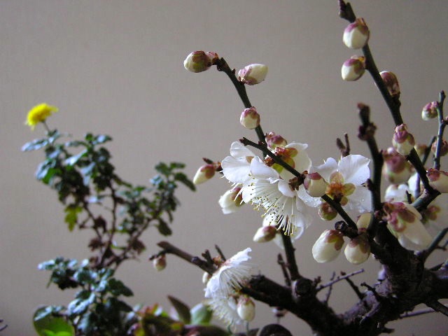 c0248013_2151867.jpg