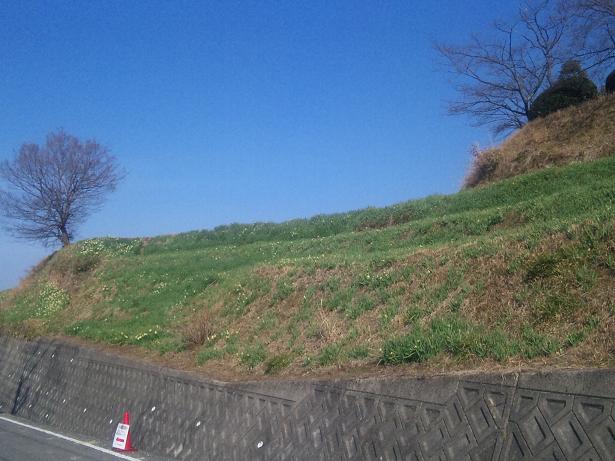 f0228619_18482427.jpg