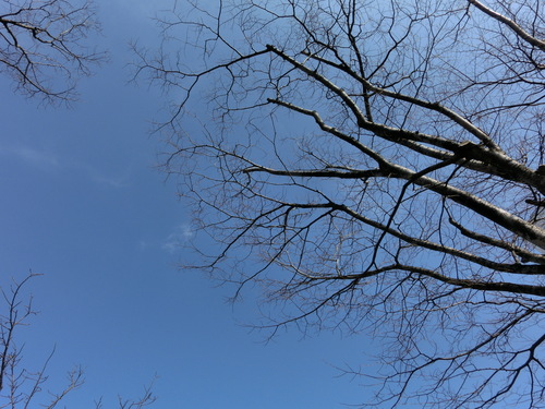 e0179321_21272582.jpg