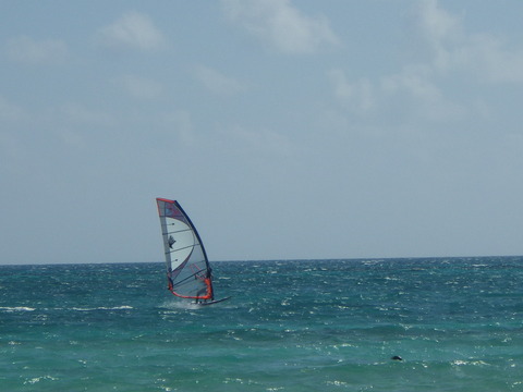 e0294721_2310761.jpg