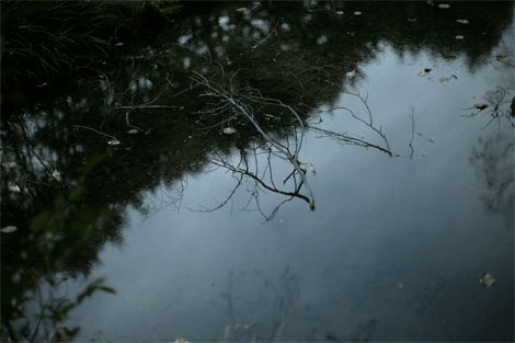 e0205625_20464549.gif