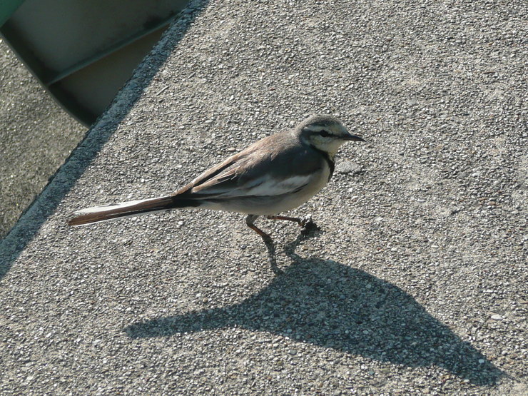 c0009528_14493986.jpg