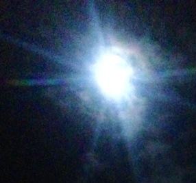 b0198033_15371138.jpg